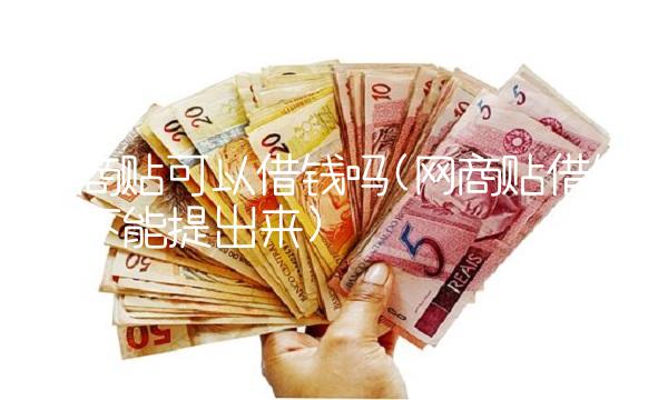 网商贴可以借钱吗(网商贴借钱能不能提出来)
