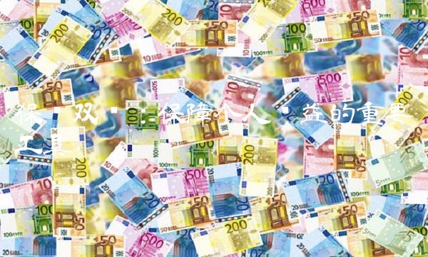 保险双录：保障个人权益的重要工具