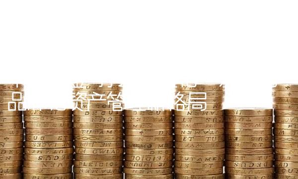 华商基金-打造专业化、差异化、品牌化资产管理新格局