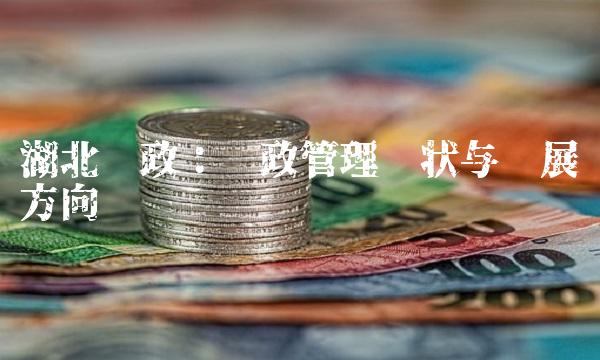 湖北财政：财政管理现状与发展方向