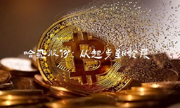 哈飞股份：从起步到发展