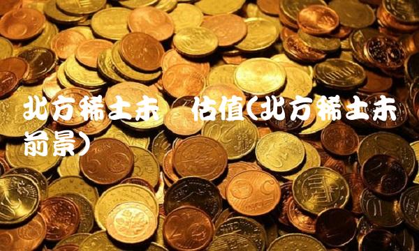 北方稀土未来估值(北方稀土未来前景)