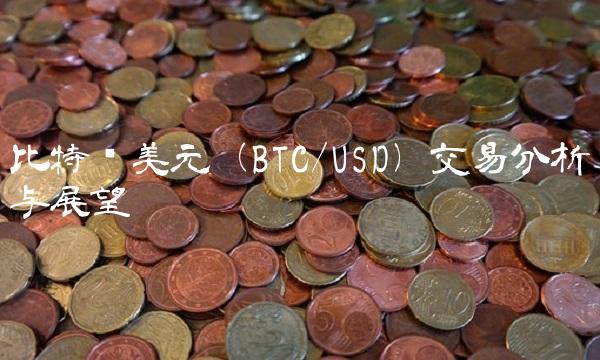 比特币美元（BTCUSD）交易分析与展望