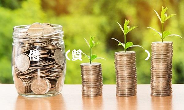 借钱网(質ヴ厙桴厙硊)