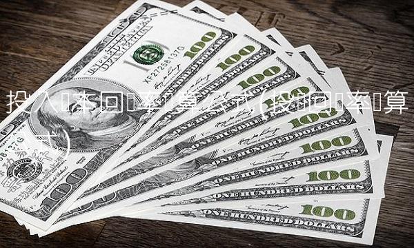 投入资本回报率计算公式(投资回报率计算公式)