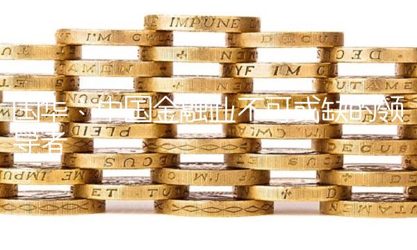 国华：中国金融业不可或缺的领导者