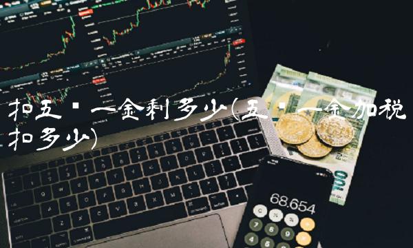 扣五险一金剩多少(五险一金加税扣多少)