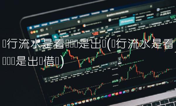 银行流水是看进账还是出账(银行流水是看进账还是出账借贷)