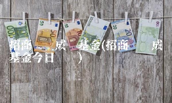 招商优质成长基金(招商优质成长基金今日净值)