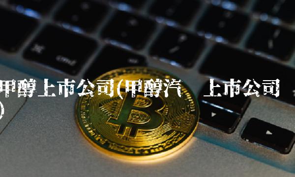 甲醇上市公司(甲醇汽车上市公司)(1)