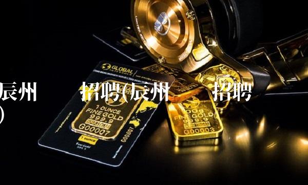 辰州矿业招聘(辰州矿业招聘电话)