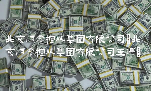 北京顺鑫控股集团有限公司(北京顺鑫控股集团有限公司王泽)