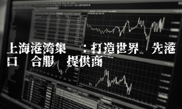 上海港湾集团：打造世界领先港口综合服务提供商