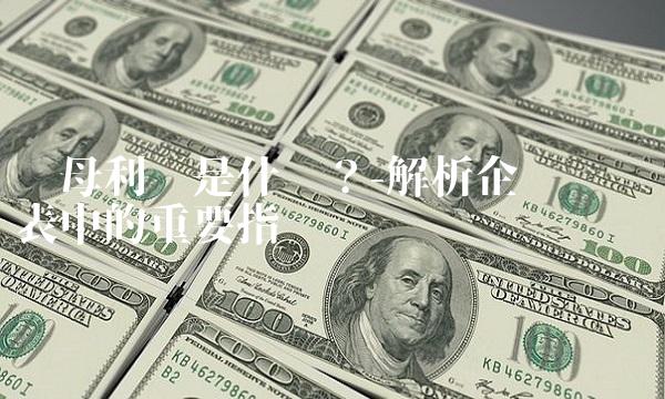 归母利润是什么？-解析企业财务报表中的重要指标