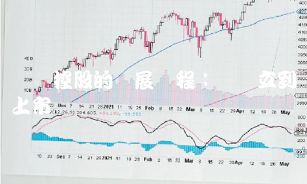 华联控股的发展历程：从创立到上市