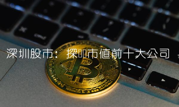 深圳股市：探寻总市值前十大公司