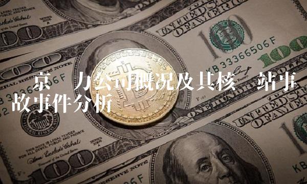 东京电力公司概况及其核电站事故事件分析