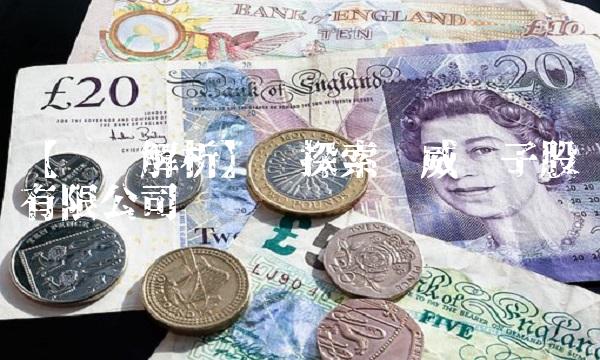 【专业解析】——探索汉威电子股份有限公司