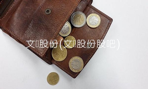 文灿股份(文灿股份股吧)