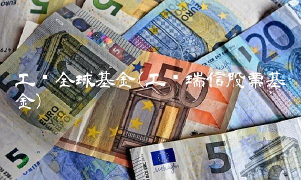 工银全球基金(工银瑞信股票基金)