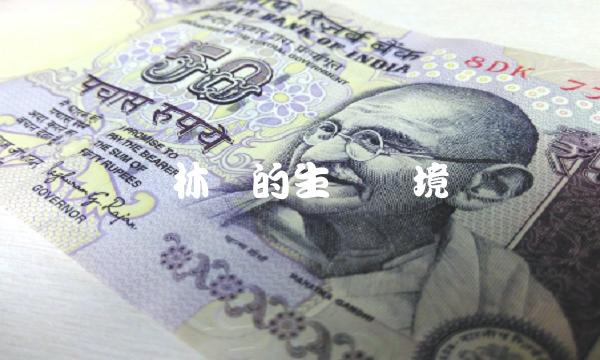 枣林湾的生态环境