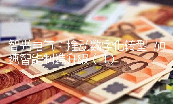 智光电气：推动数字化转型 加速智能制造升级（1）