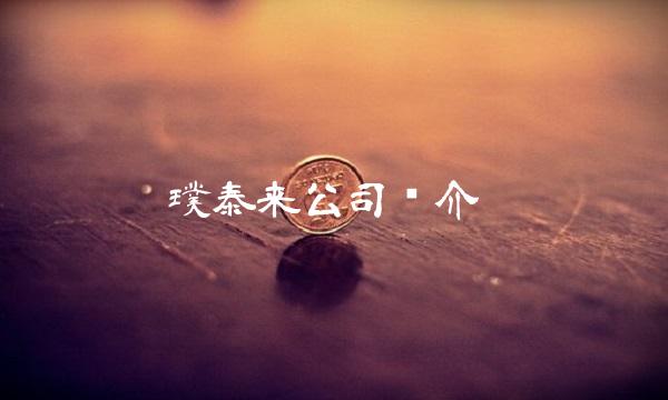 璞泰来公司简介