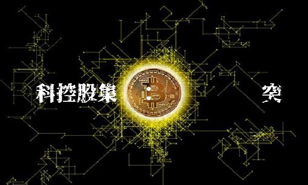 维科控股集团：产业链优势突显