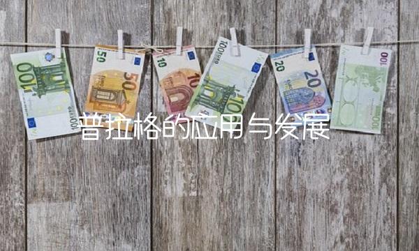 普拉格的应用与发展