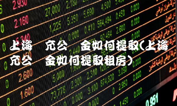 上海补充公积金如何提取(上海补充公积金如何提取租房)