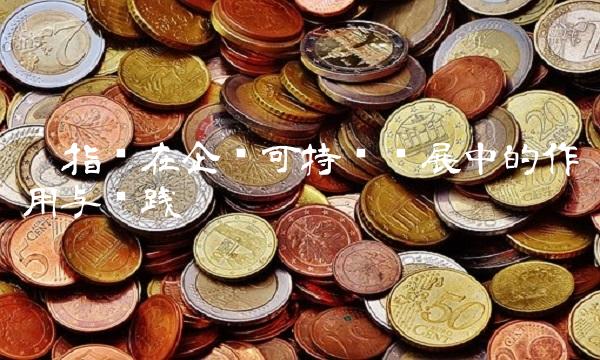 碳指标在企业可持续发展中的作用与实践