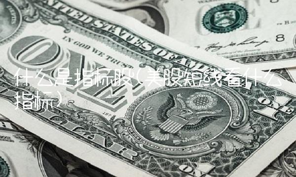 什么是指标股(美股短线看什么指标)
