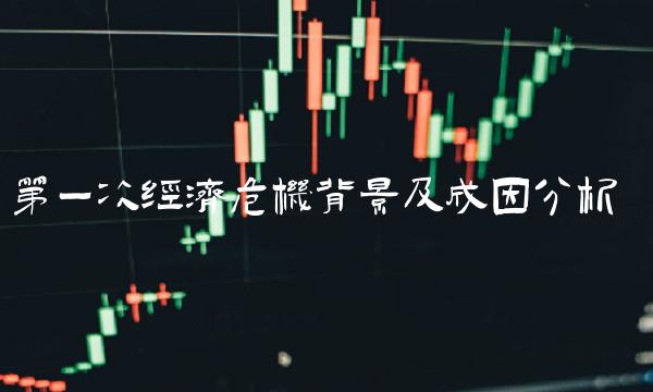第一次经济危机背景及成因分析