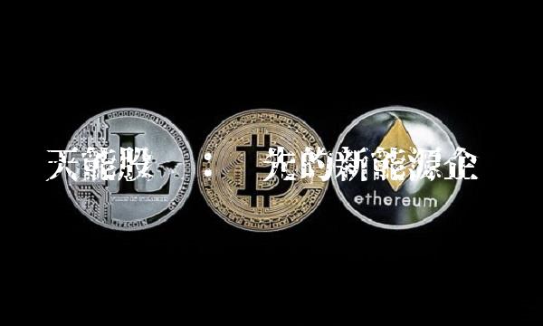 天能股份：领先的新能源企业