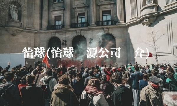 怡球(怡球资源公司简介)