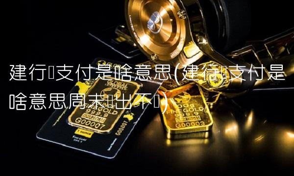 建行龙支付是啥意思(建行龙支付是啥意思周末钱出不来)