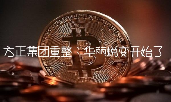 方正集团重整：华丽蜕变开始了