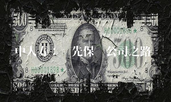 中人寿：领先保险公司之路