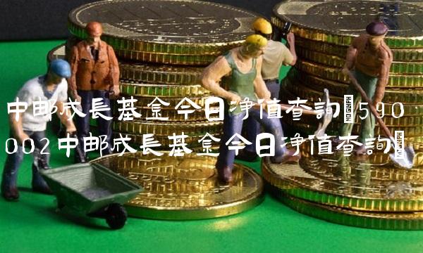 中邮成长基金今日净值查询(590002中邮成长基金今日净值查询)