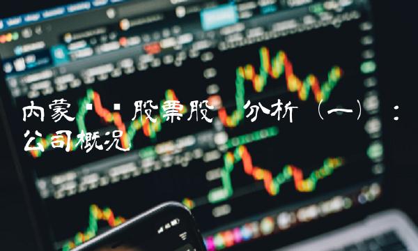 内蒙华电股票股吧分析（一）：公司概况