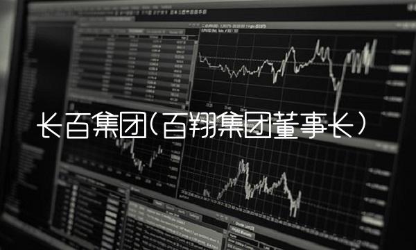 长百集团(百翔集团董事长)