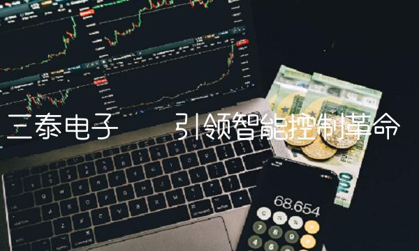 三泰电子——引领智能控制革命