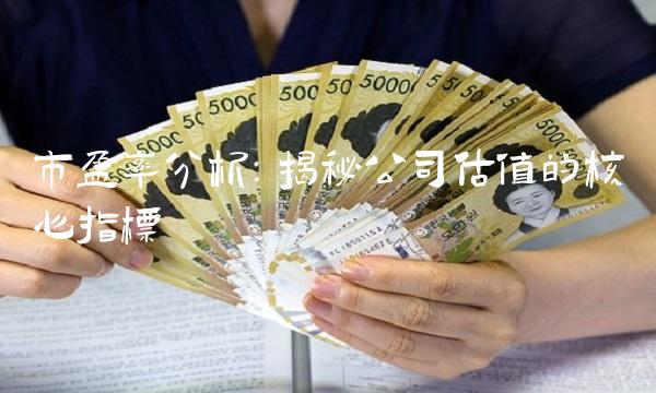 市盈率分析：揭秘公司估值的核心指标