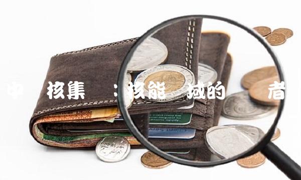 中广核集团：核能领域的佼佼者