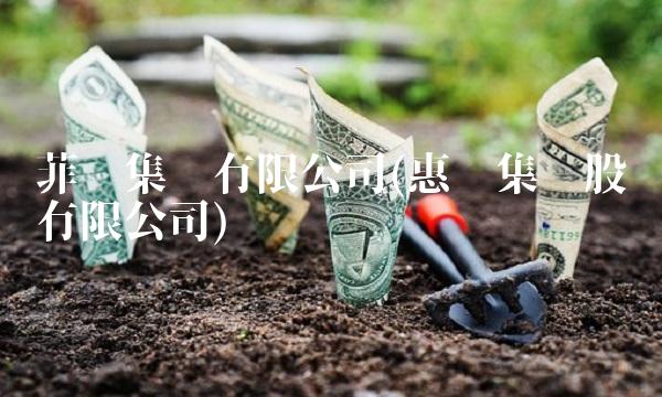 菲达集团有限公司(惠达集团股份有限公司)