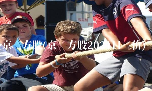 京东方股(京东方股2021目标价)(1)