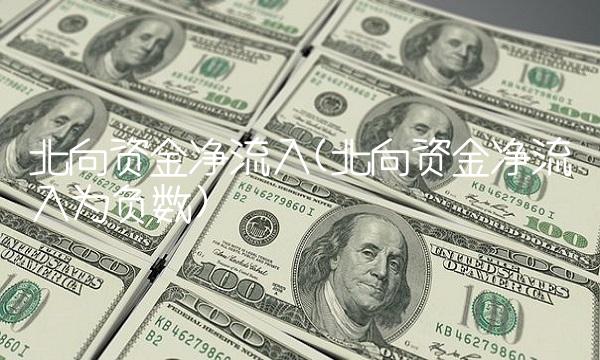 北向资金净流入(北向资金净流入为负数)