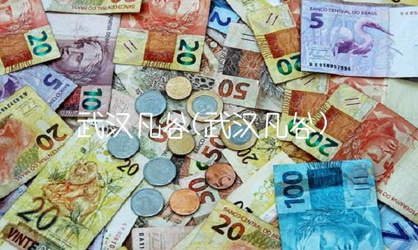 武汉凡谷(武汉凡谷)(1)