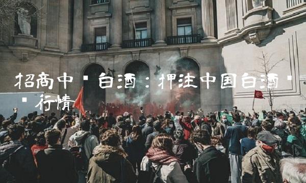 招商中证白酒：押注中国白酒强势行情