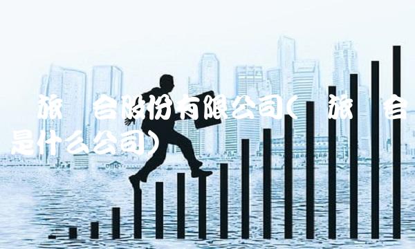 国旅联合股份有限公司(国旅联合是什么公司)